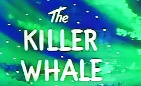 The Killer Whale