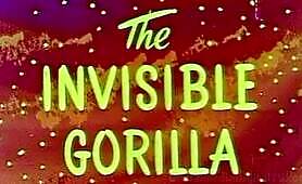 The Invisible Gorilla